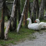 Albergo Lago Verde 3* Pennabilli