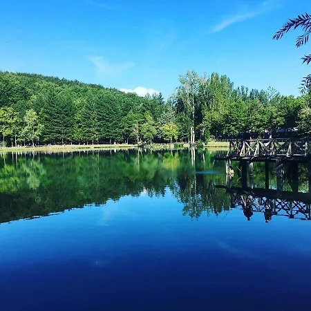 Albergo Lago Verde 3*