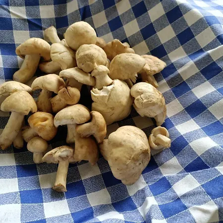 Albergo Lago Verde Hotel Pennabilli