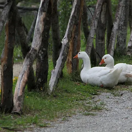 Albergo Lago Verde 3* Pennabilli