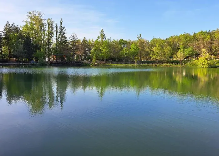 Albergo Lago Verde ホテル 3*