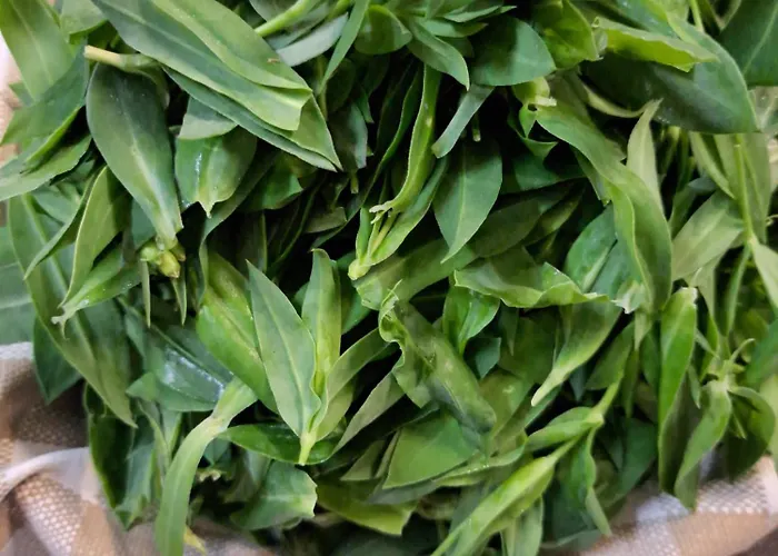 Ξενοδοχείο Albergo Lago Verde