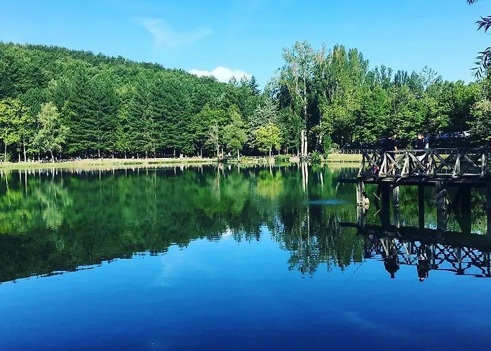 Albergo Lago Verde 3*