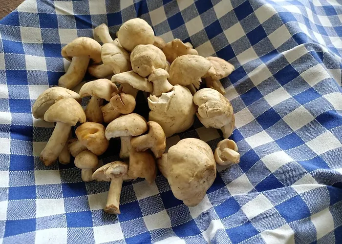 Albergo Lago Verde Otel Pennabilli