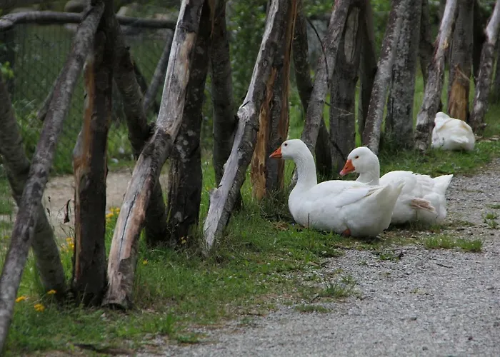 Albergo Lago Verde 3* Pennabilli